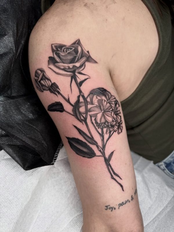 Black Gray Roses