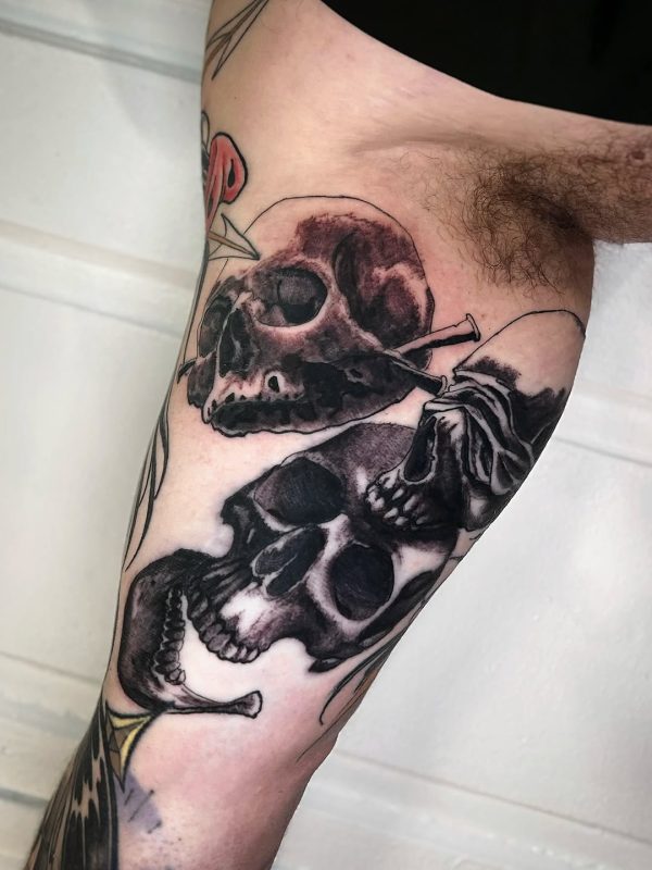 Skulls with Nails