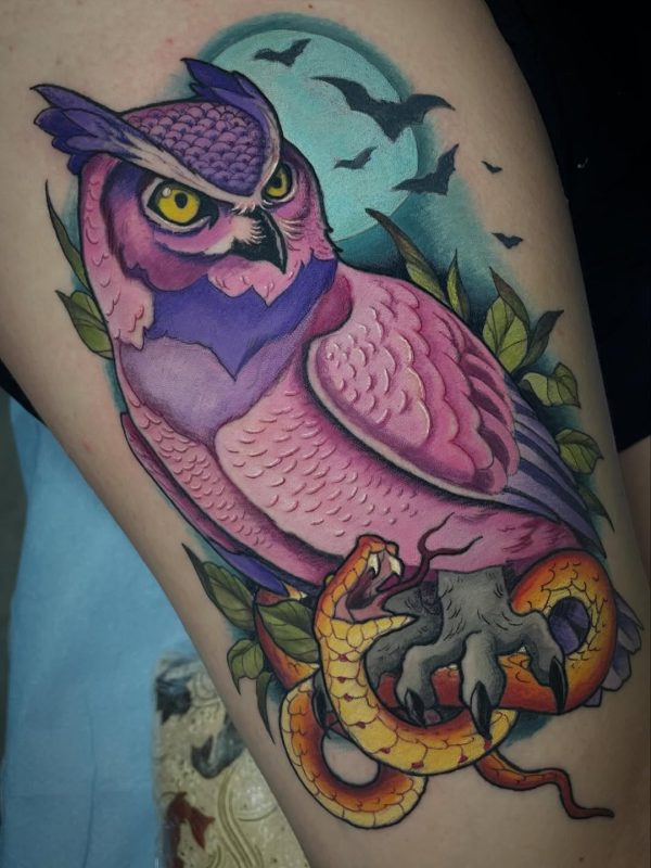 Colorful Owl