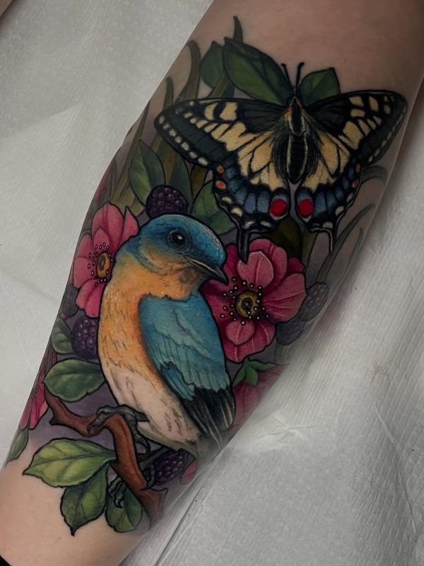 Bird and Butterfly