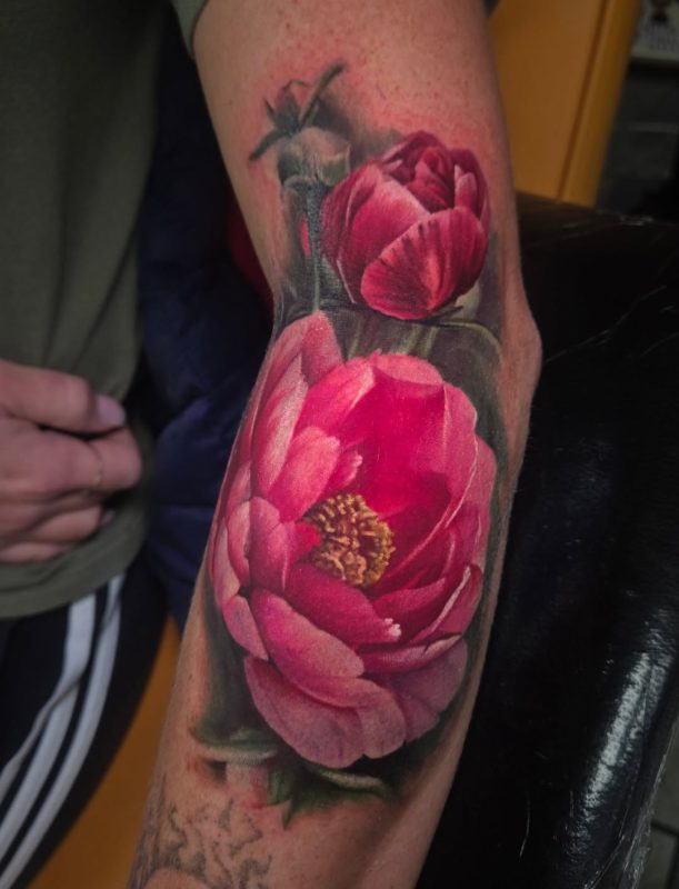 Realistic Pink Peony