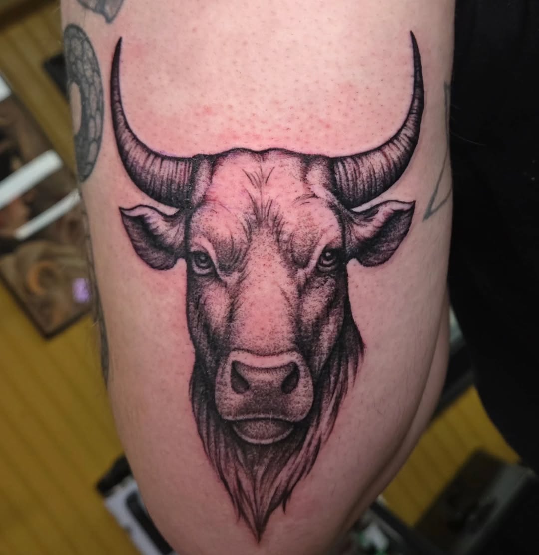 Bull Head