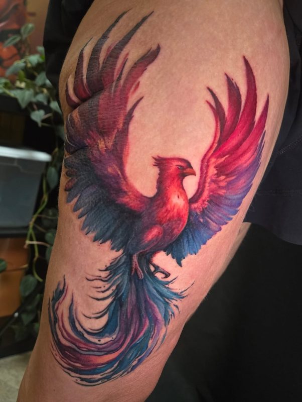 Colorful Phoenix