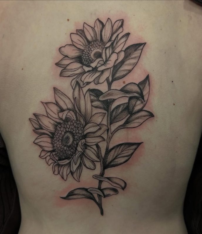 Sunflower Sketch