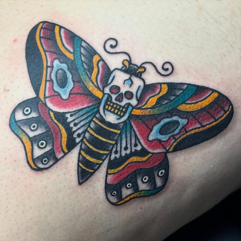 Skull Moth