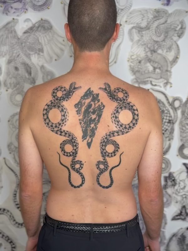 Symmetrical Snakes