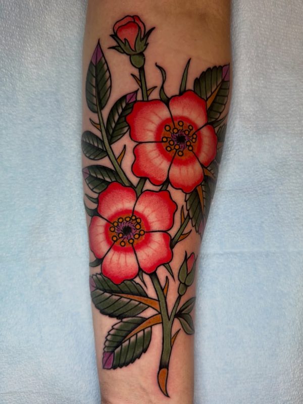 Red Rose Branch