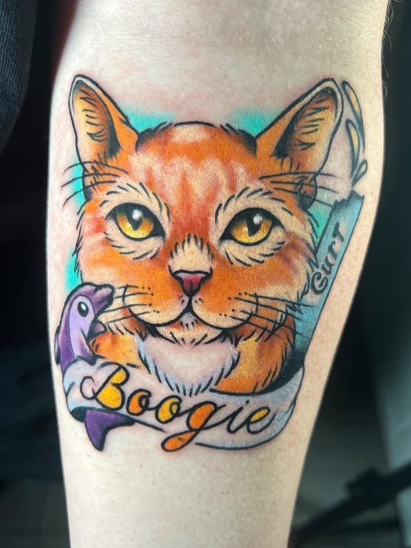 Orange Cat Portrait