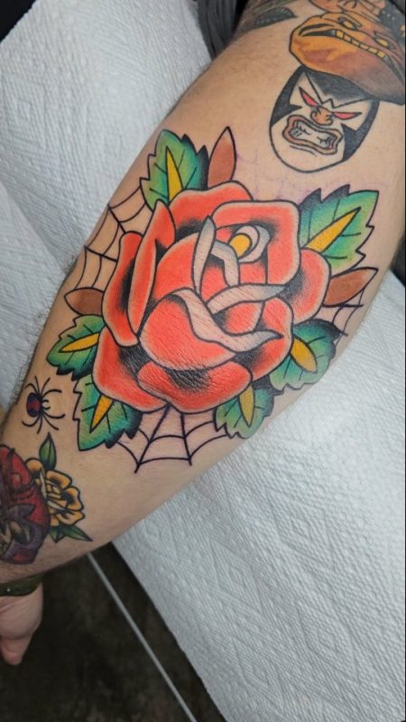 Traditional Rose