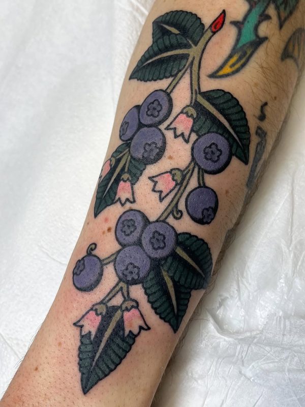 Blueberry Branch