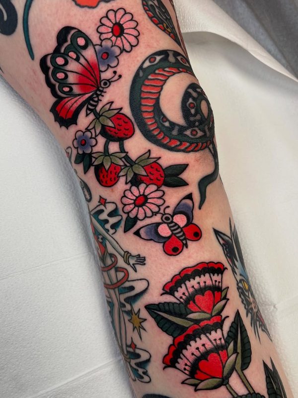 Butterflies and Flowers