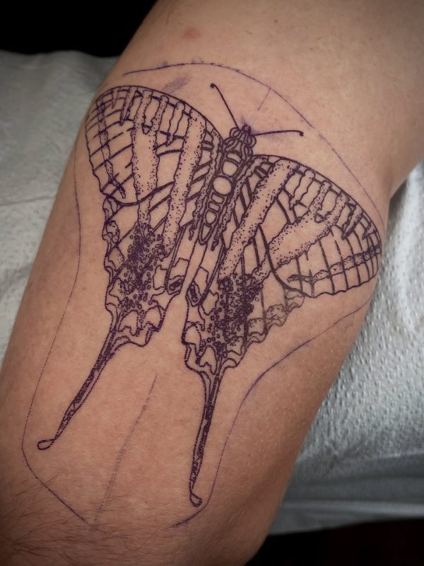 Butterfly Outline