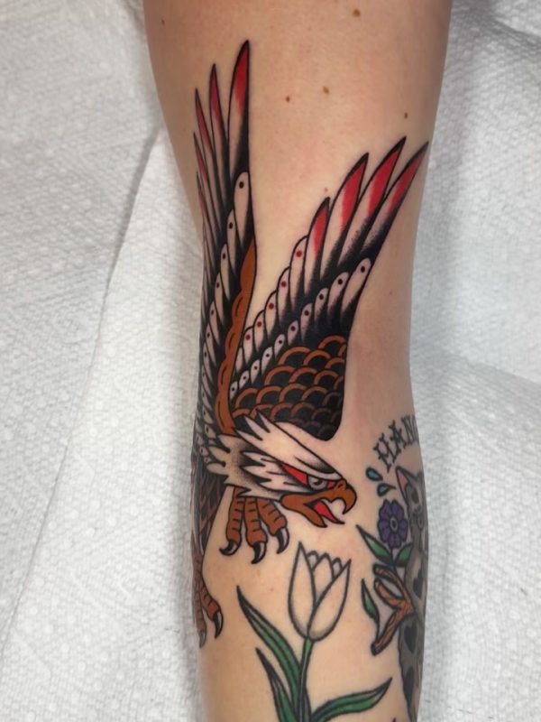 Flying Eagle