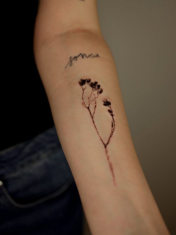 Delicate flower
