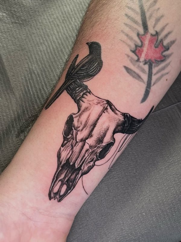 Skull and Bird
