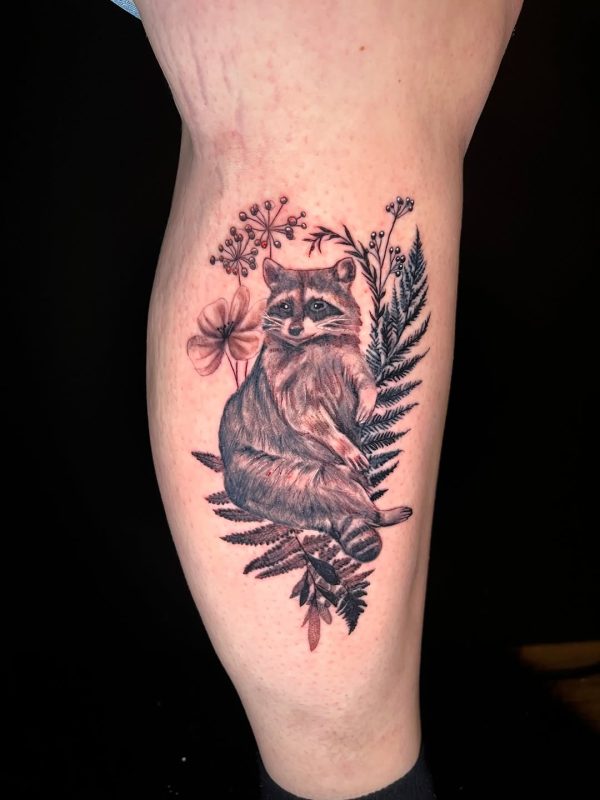 Raccoon and Fern