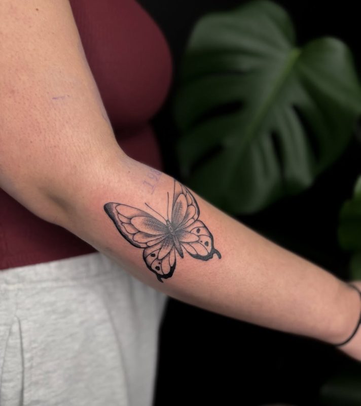 Black Gray Butterfly