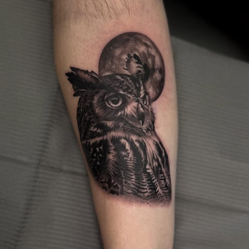 Owl and Moon