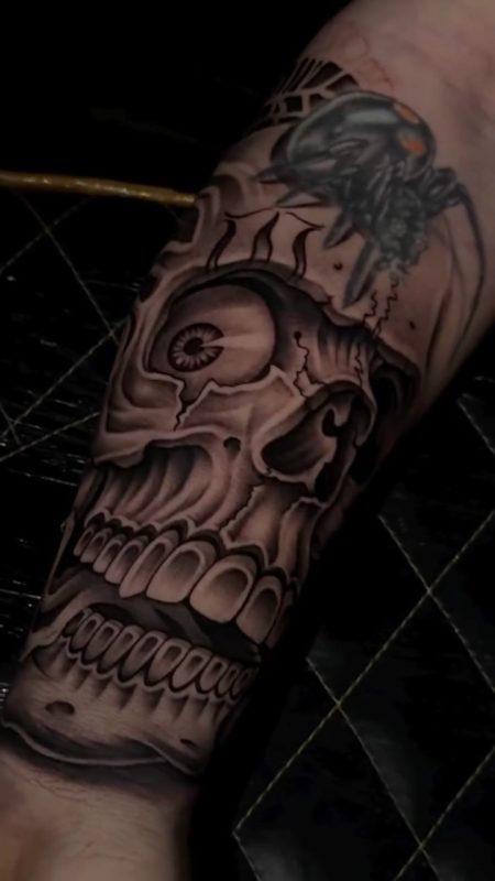 Skull and Spider