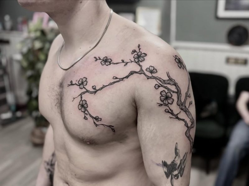 Cherry Blossom Branch