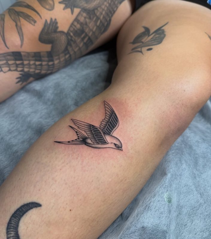 Flying Swallow