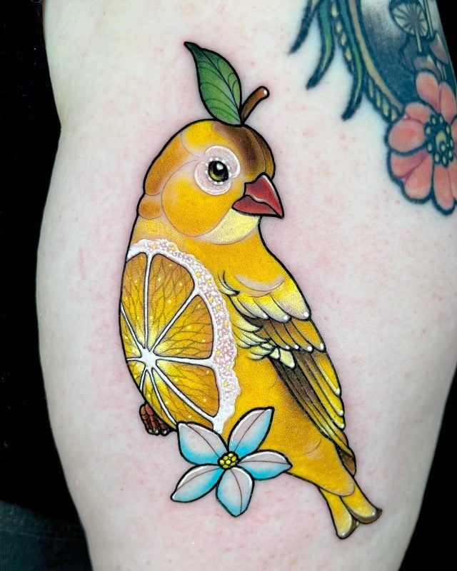Citrus Bird