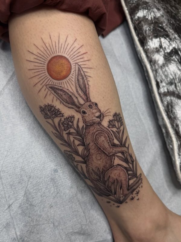 Sunlit Hare