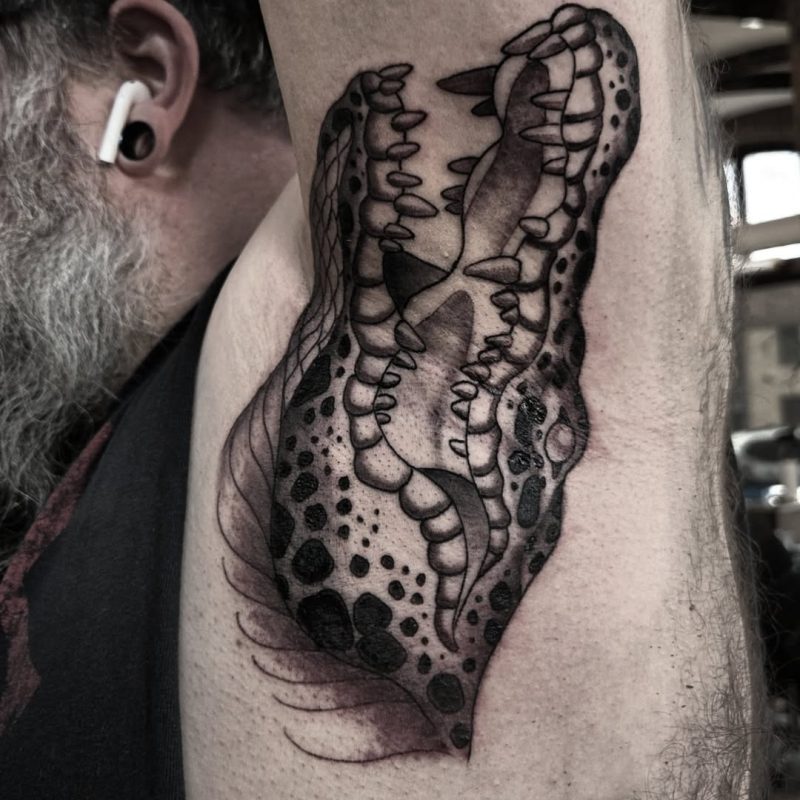 Crocodile Head