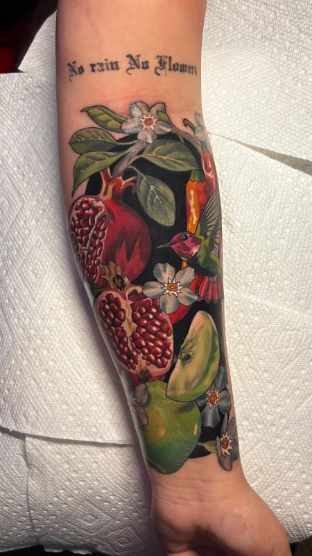 Fruit and Hummingbird