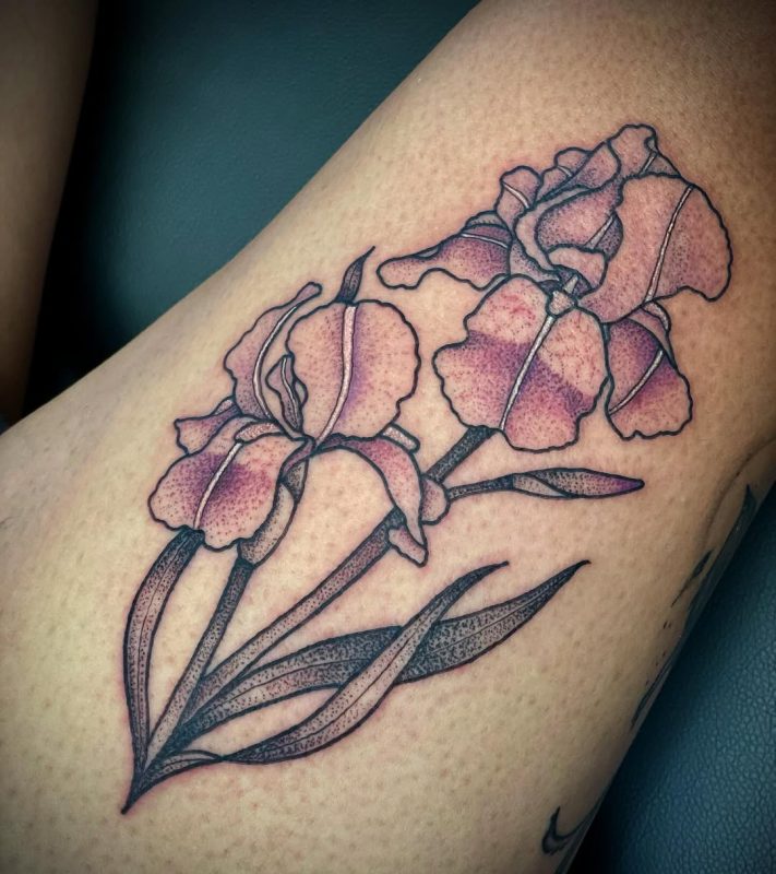 Dotwork Iris