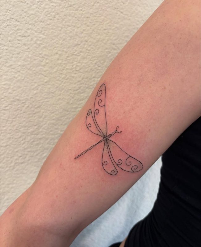 Delicate Dragonfly