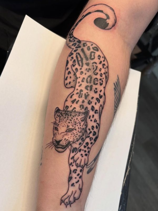 Leopard Outline