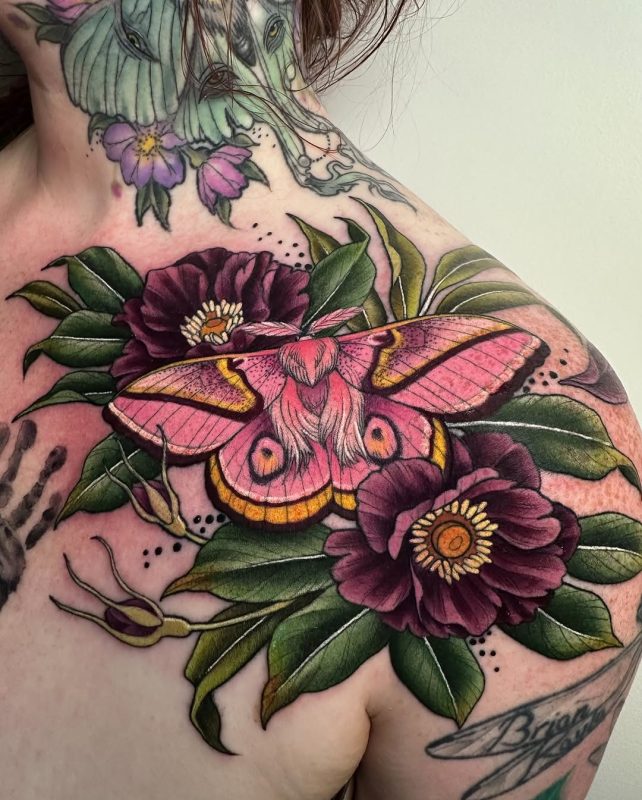 Moth and Flowers