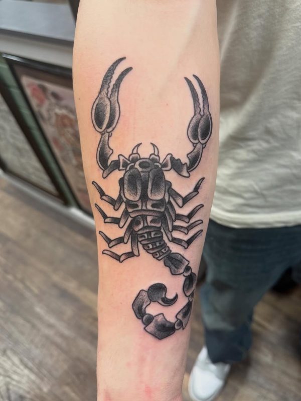 Black Gray Scorpion