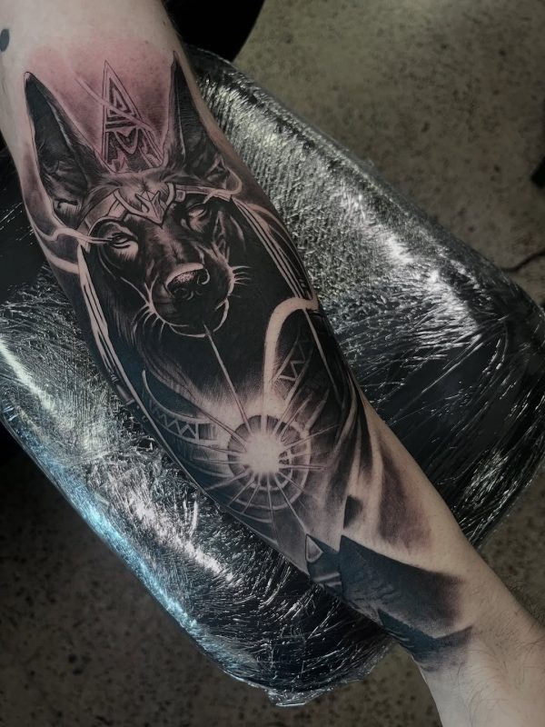 Anubis Portrait
