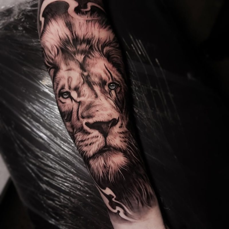 Realistic Lion