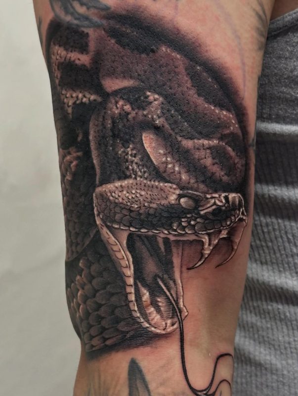 Realistic Snake