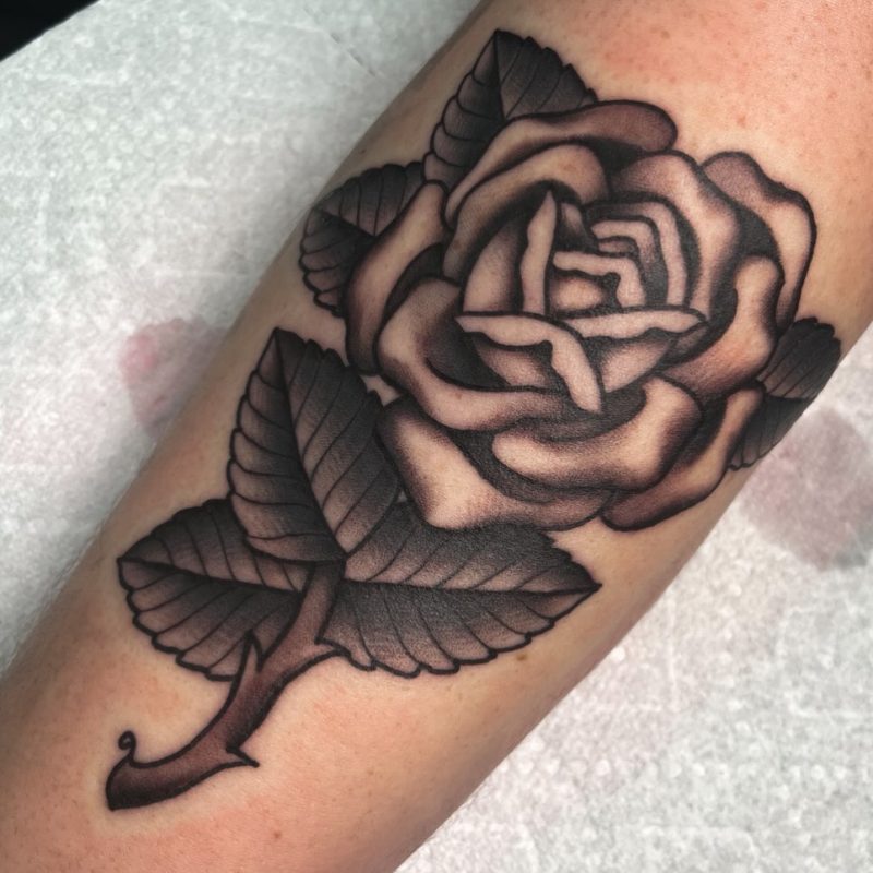 Black Gray Rose
