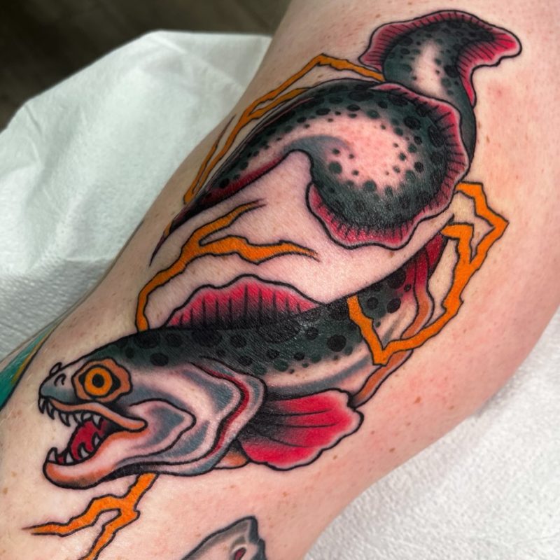 Electric Fish