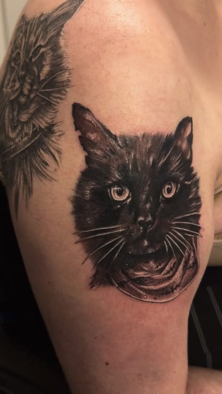 Black Cat Portrait