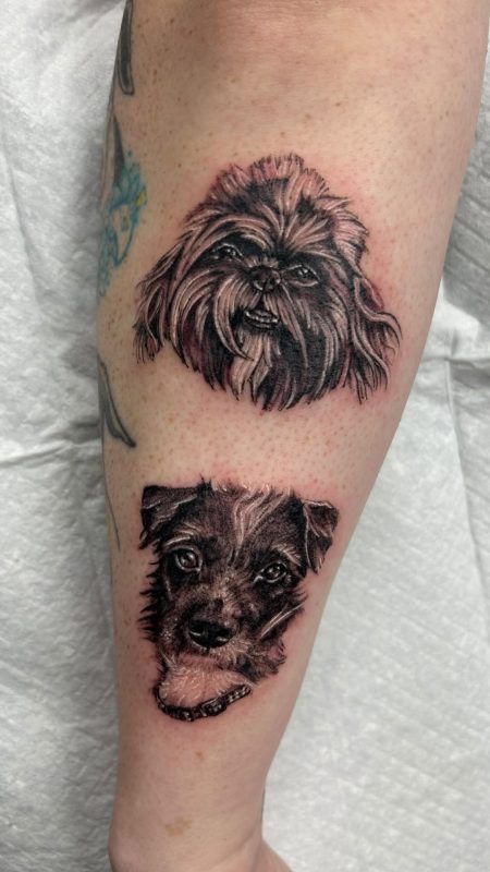 Realistic Dog Portraits