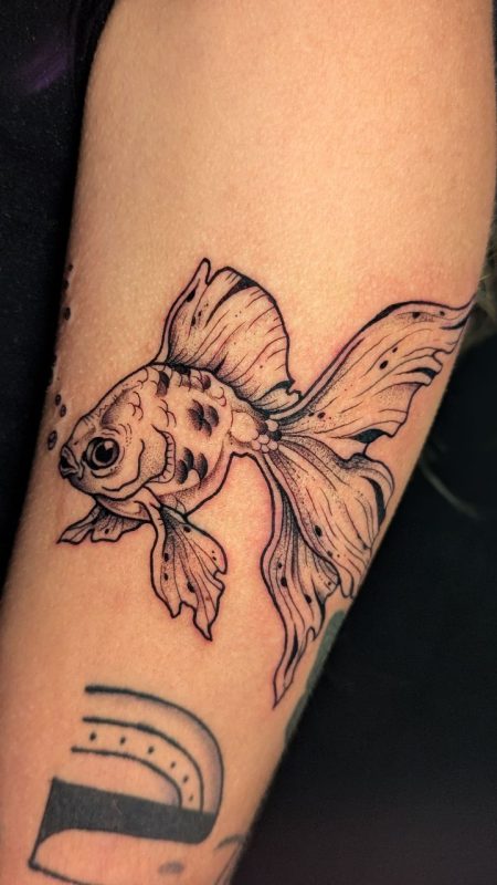 Black Gray Goldfish