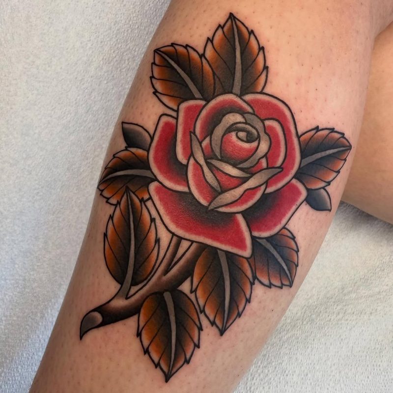 Traditional Rose