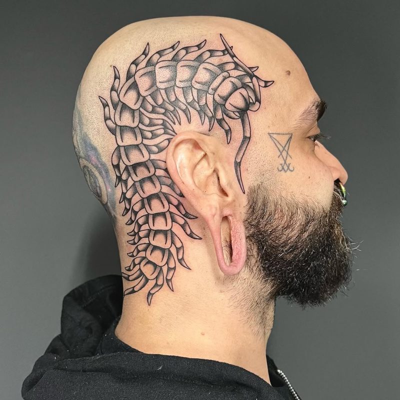 Centipede Headpiece