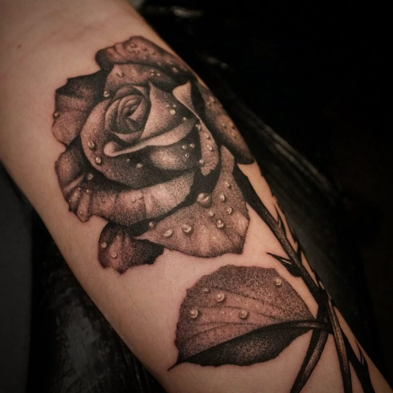Black Gray Rose