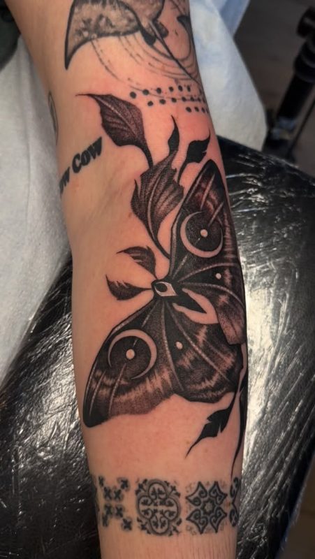 Blackwork Moth
