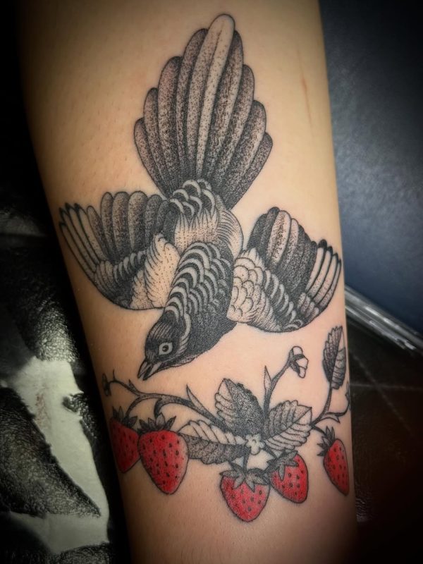 Bird and Strawberries