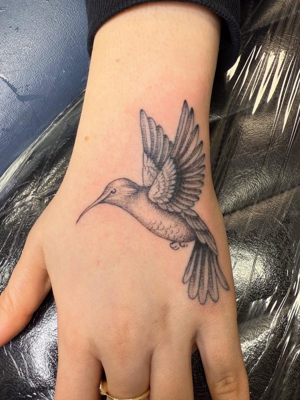 Flying Hummingbird