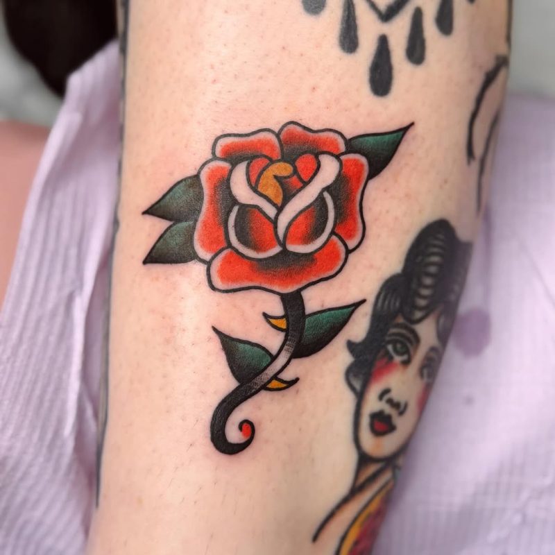 Traditional Rose