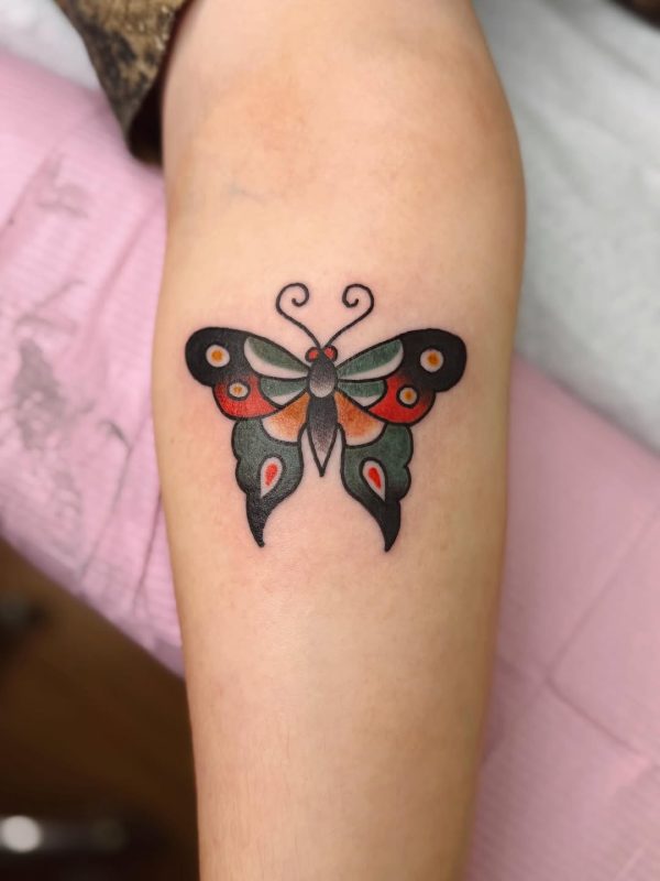 Colorful Butterfly